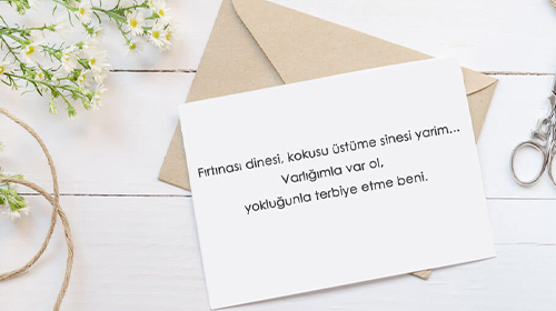 Not Kağıtları