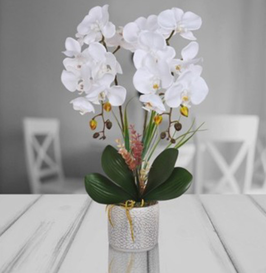 Laye Flowers Elegant Saksıda 2 Li Beyaz Islak Orkide 